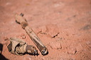 img_6626-01