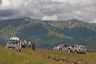 img_9039-1
