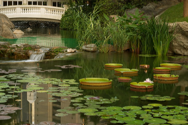 image025.jpg