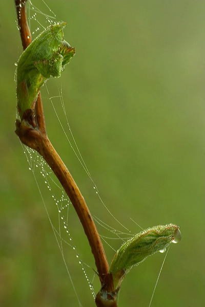 image001.jpg