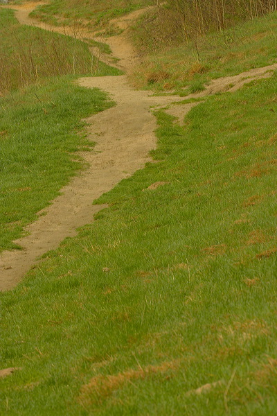 image013.jpg