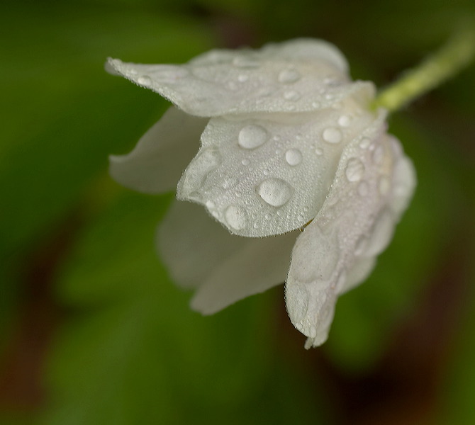image016.jpg