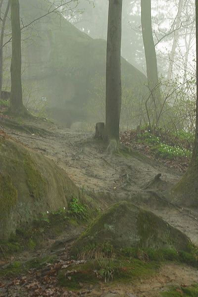 image017.jpg