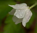 image016