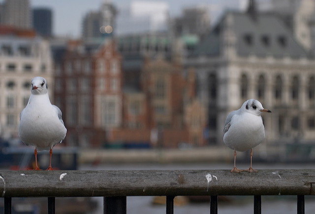 image003.jpg