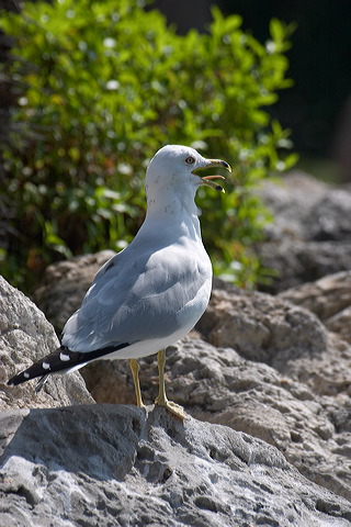 image006.jpg