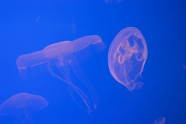 image014.jpg