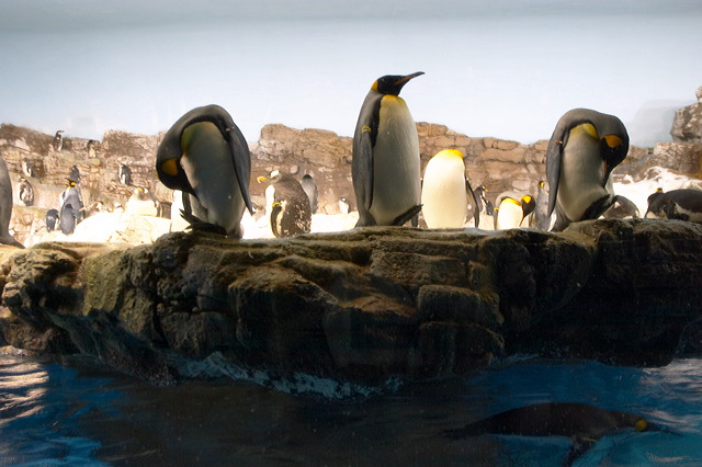 image016.jpg