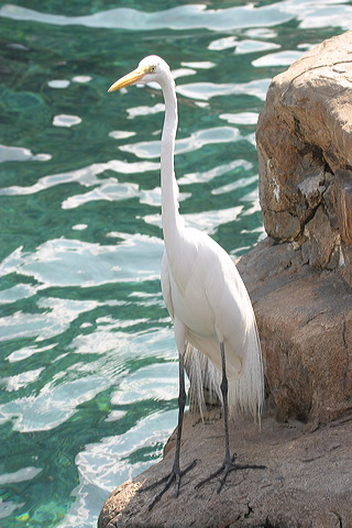 image017.jpg