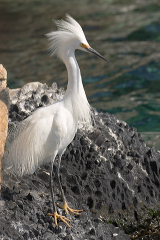 image018.jpg