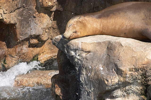 image020.jpg
