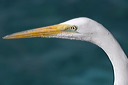 image019