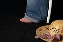 crw_8418