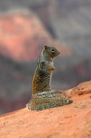 image123.jpg