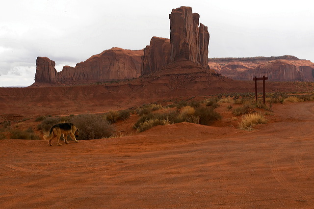 image107.jpg