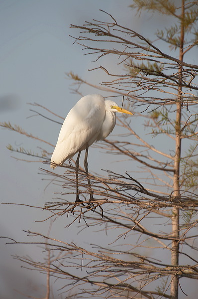 image009.jpg