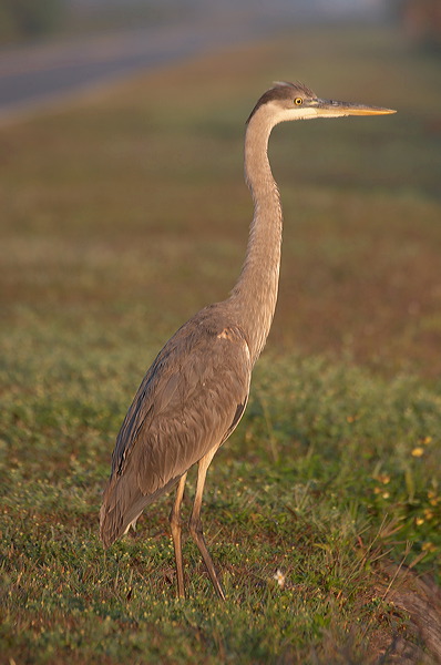 image013.jpg