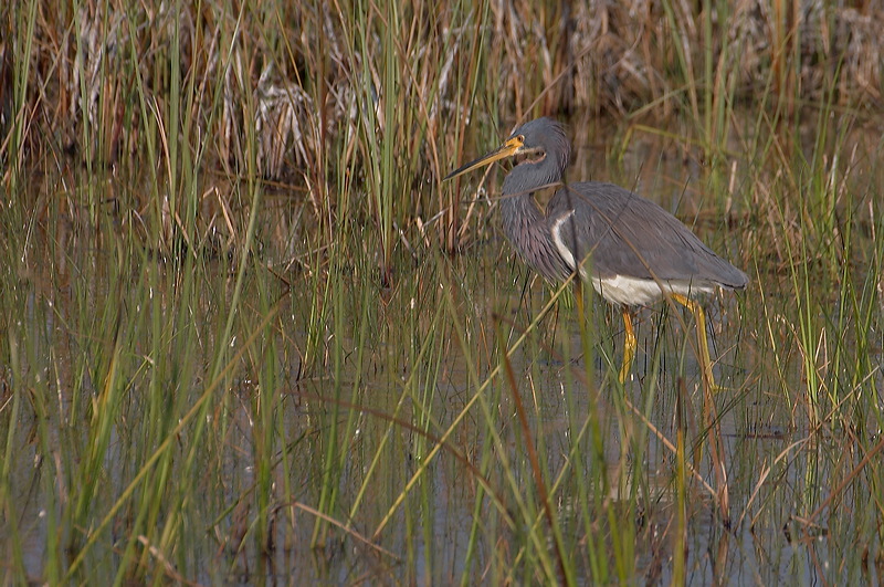 image017.jpg