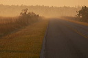 image008