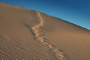 picture10